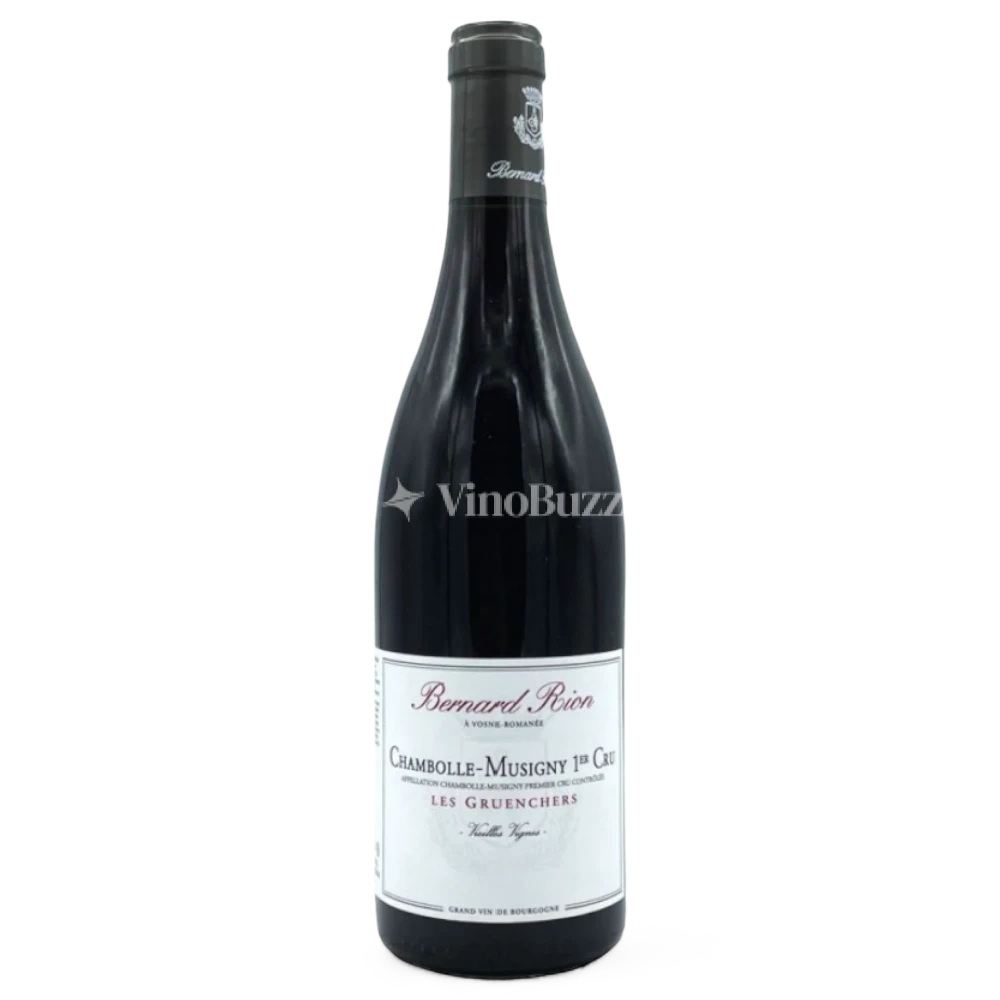 Domaine Armelle et Bernard Rion Morey Saint Denis 'Les Gruenchers' Premier Cru 2022