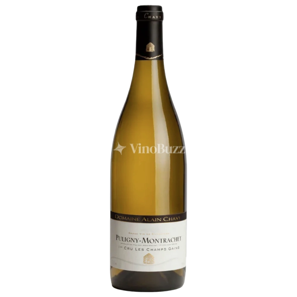 Domaine Alain Chavy Puligny Montrachet 'Les Champs Gains' Premier Cru 2022