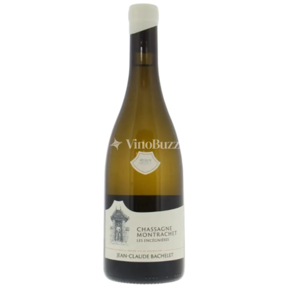 Domaine Jean Claude Bachelet et Fils Chassagne Montrachet 'Les Enceignères' 2019